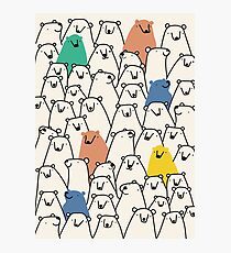 Bears Photographic Print