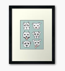 Pittie Pittie Please! 3 Framed Print