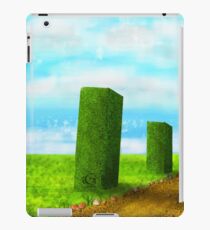 Avenue iPad Case/Skin