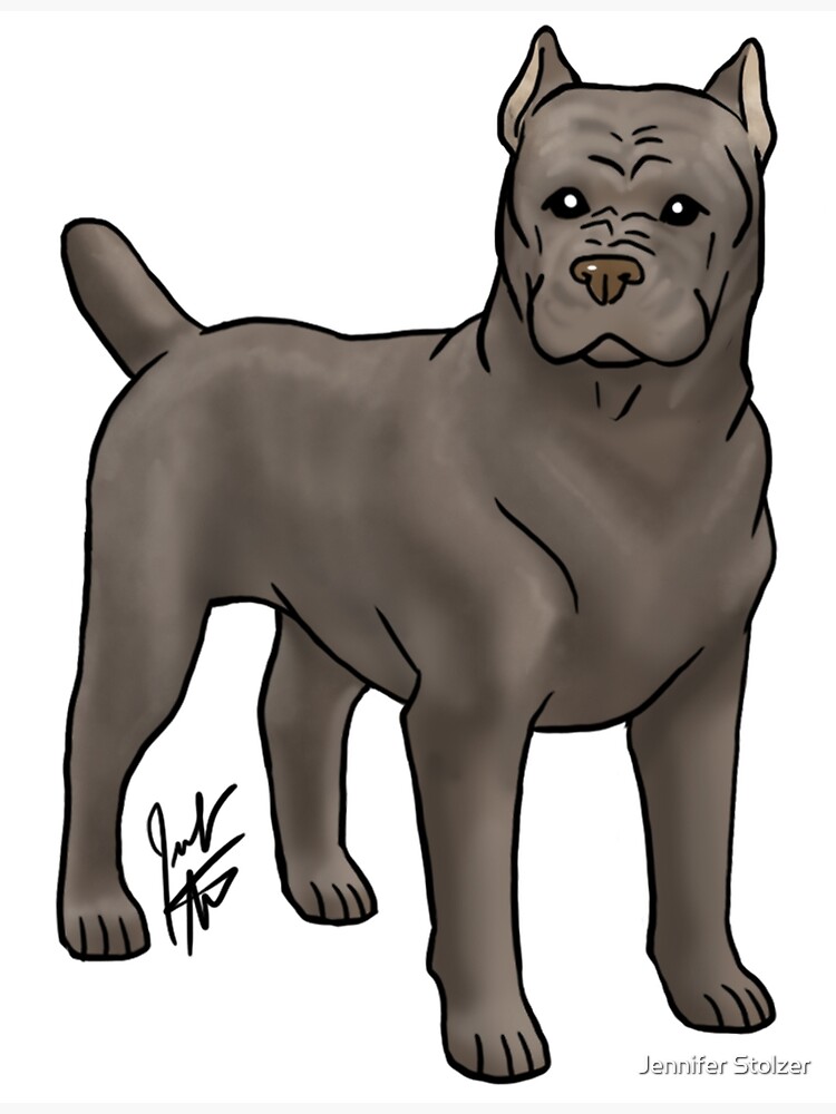 "Cane Corso" Poster by jameson9101322 Redbubble