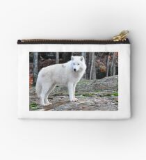 Arctic Wolf - Québèc, Canada Studio Pouch