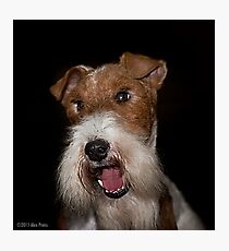 YOU, Sir, Have Double Standards! Photographic Print