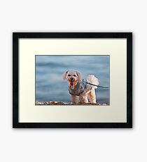 Anonymous Framed Print