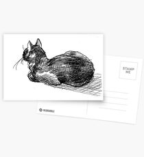 Harley the kitty Postcards