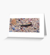 I'm on a mission !! Greeting Card