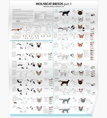 Housecat Breeds part 1 Poster