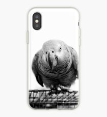 African Grey iPhone Case