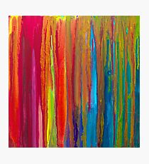 Raw Silk Photographic Print