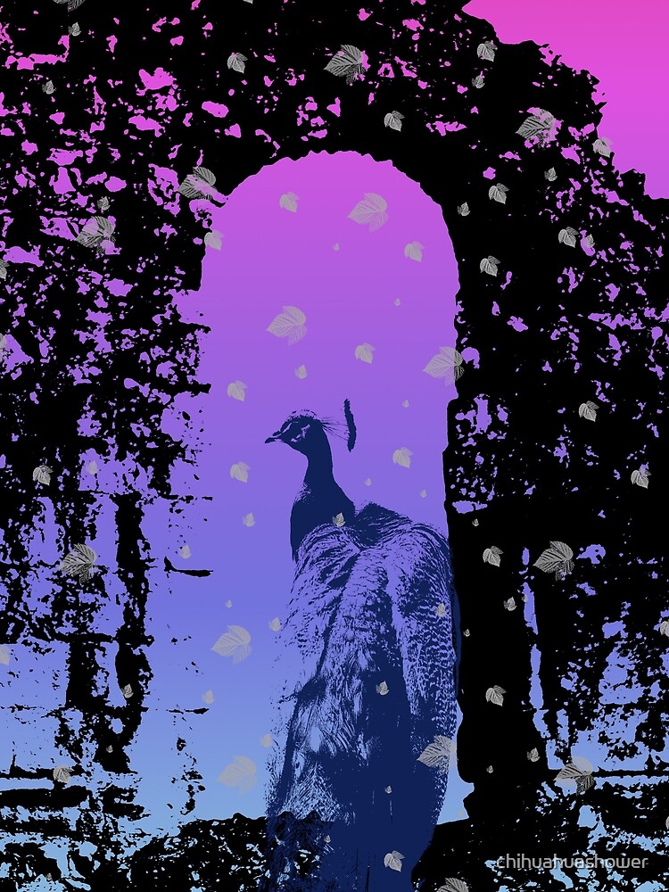 Peacock by chihuahuashower