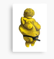 Venus of Strapondorf Metal Print