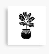 Linocut Houseplant fiddle fig nature botanical black and white minimalist decor Canvas Print