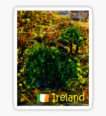 jGibney Ireland 1999 Kerry Lake District Ireland The MUSEUM Red Bubble Gifts Sticker