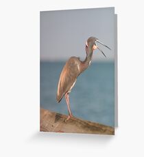 Dont Take Another Step! Greeting Card
