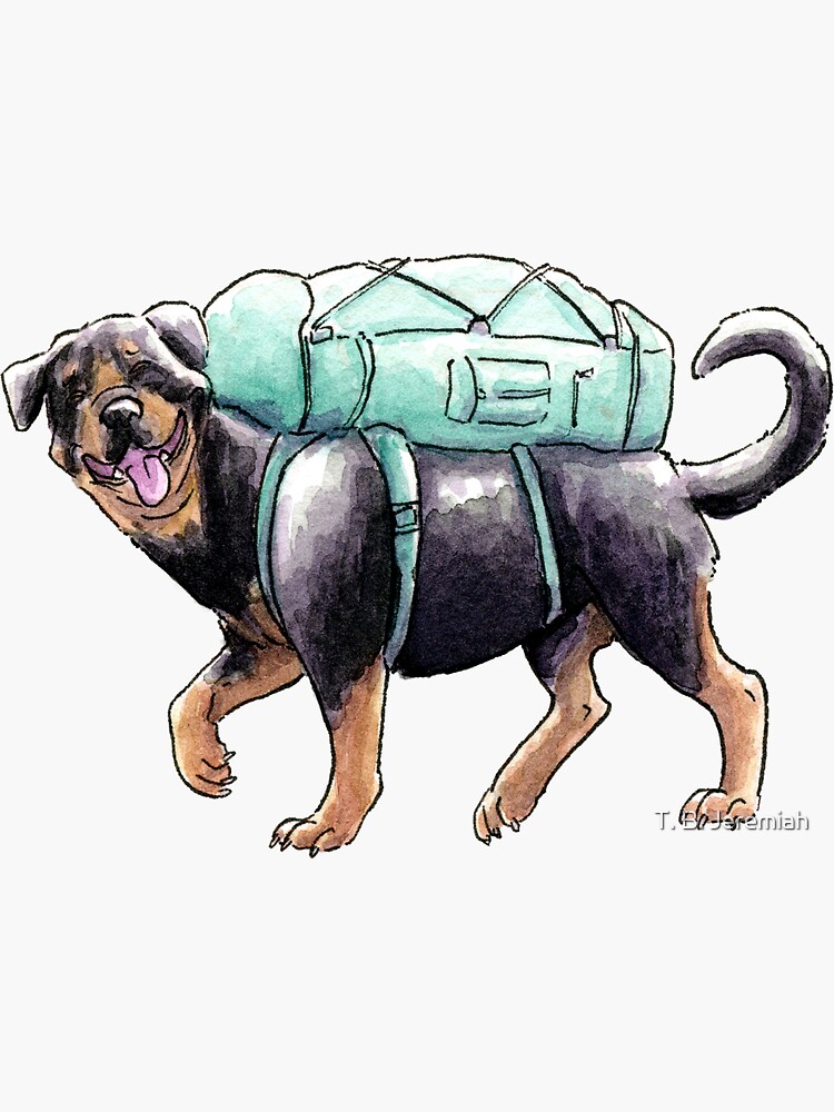 Summer Dog: Rottweiler by leslieawicke
