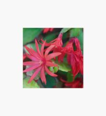 Cactus Flower Art Board