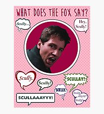 What does the Fox (Mulder) say? Photographic Print