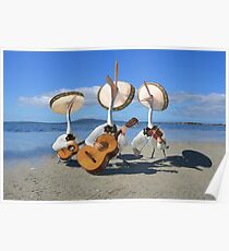 Pelican Mariachi band Poster
