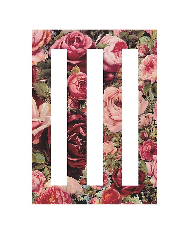 Paramore: Posters | Redbubble