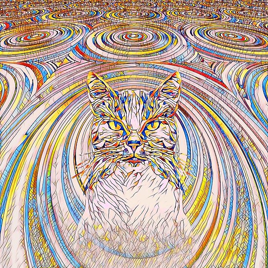 Abstract Cat