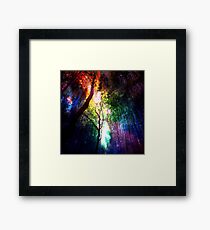 Rainbow forest Framed Print