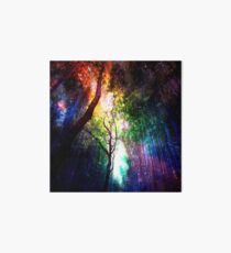 Rainbow forest Art Board