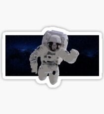 Lost in Space Sticker
