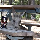 Even roos "can't beat the feeling" by Tim Bates