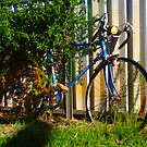 Forgotten Transport by Tim Bates