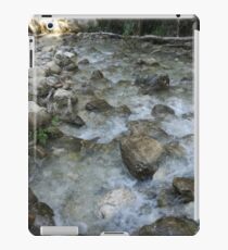 Rush iPad Case/Skin