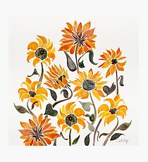 Sunflower Watercolor – Yellow & Black Palette Photographic Print