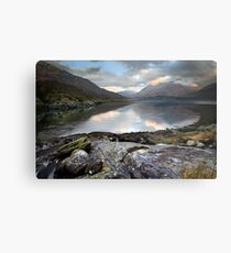Sprited Landscape Metal Print