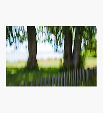 Summer Trees by Fence Photographic Print