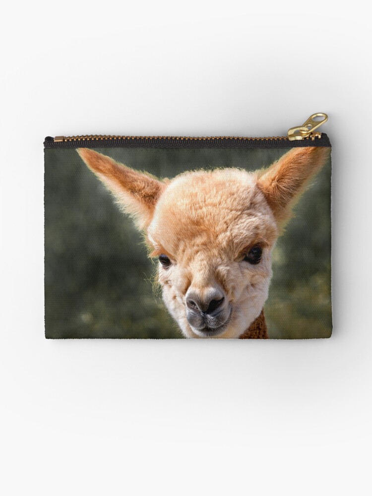 alpaca iphone xs case alpaca iphone xs case