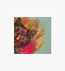 Lámina de exposición Cat Mandala