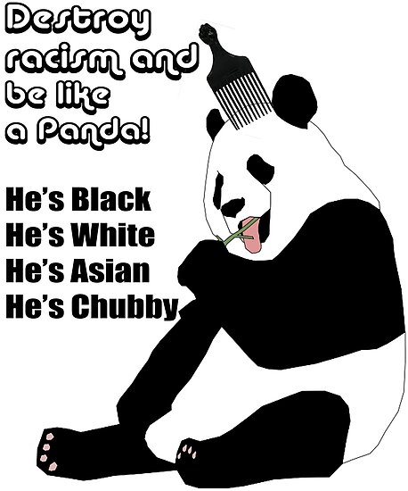 Destroying racism essay picture