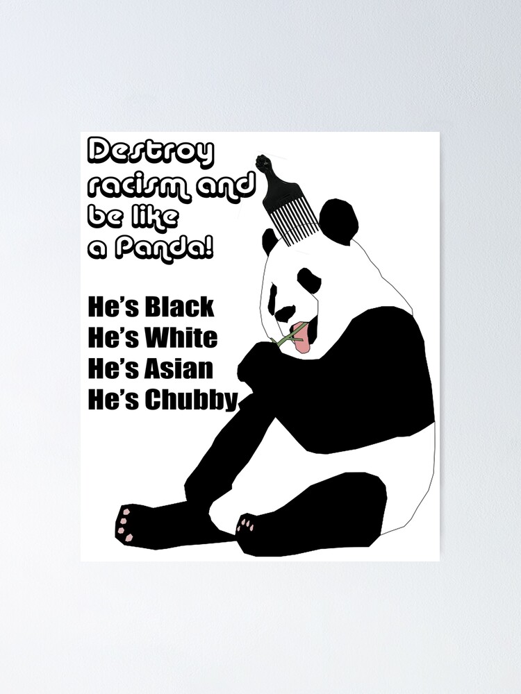 Destroying racism essay 04 picture