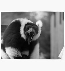 Yawn - black & white Poster