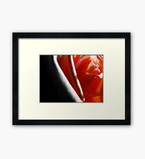 Sometimes... Framed Print