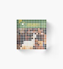 DIE STRANDJUNGEN, PET SOUNDS, BENDAY PUNKTE Acrylblock
