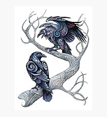 Lámina fotográfica Hugin y Munin