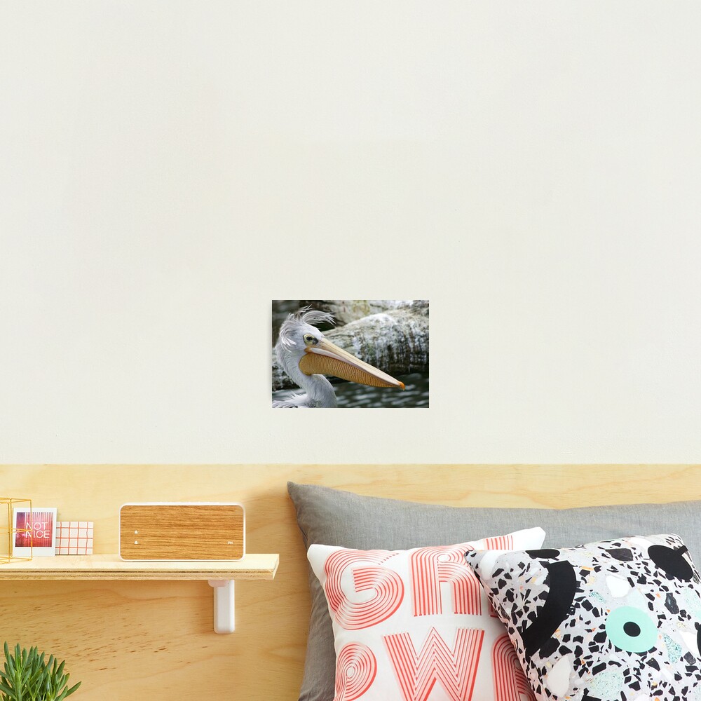 Bad hair day Photographic Print