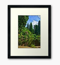 Reflective Nature Framed Print