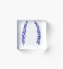 Lavender Acrylic Block