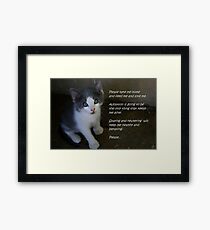 Pet Adoption Framed Print