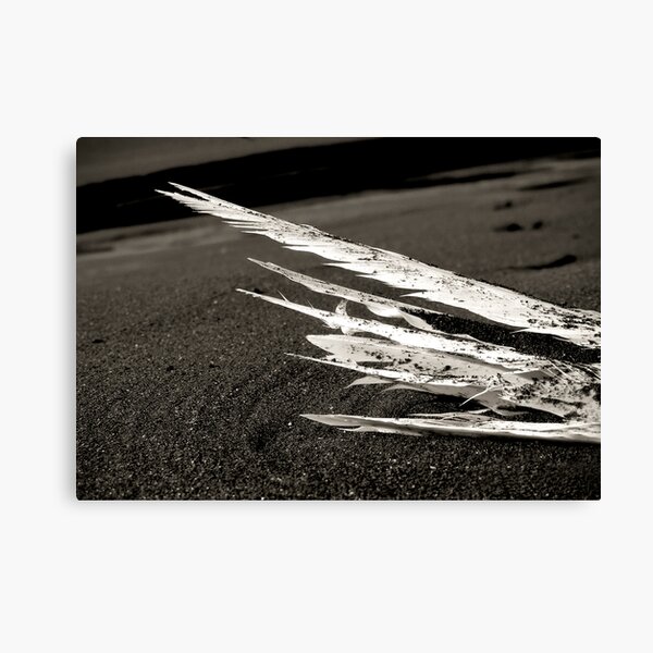 Flightless Canvas Print