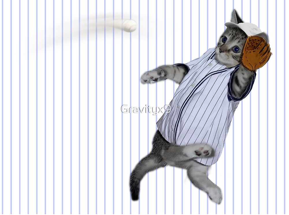 "Baseball Catcher Kitten" by Gravityx9 Redbubble