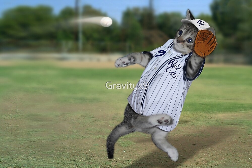 "Baseball Catcher Kitten" by Gravityx9 Redbubble