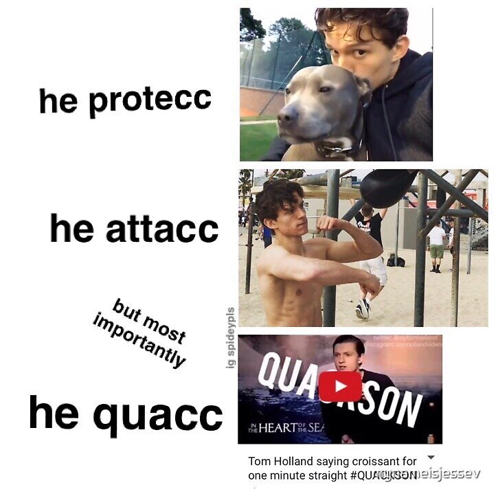 "he protecc he attacc he quacc" by mynameisjessev Redbubble