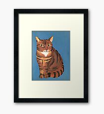 Sly Kitty Framed Print