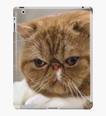 I Know I am The Best In Show! iPad Case/Skin